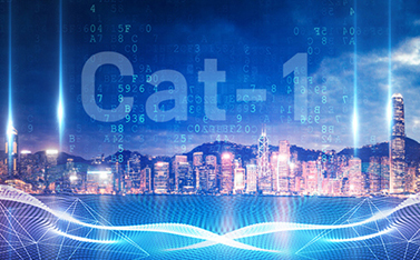 工信部重磅發(fā)文，Cat-1/NB-IoT再次站上新風口