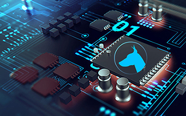 看門(mén)狗保護(hù)是如何工作的