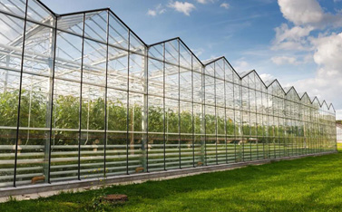 因為一場綜藝備受關(guān)注，智慧大棚到底有多神奇