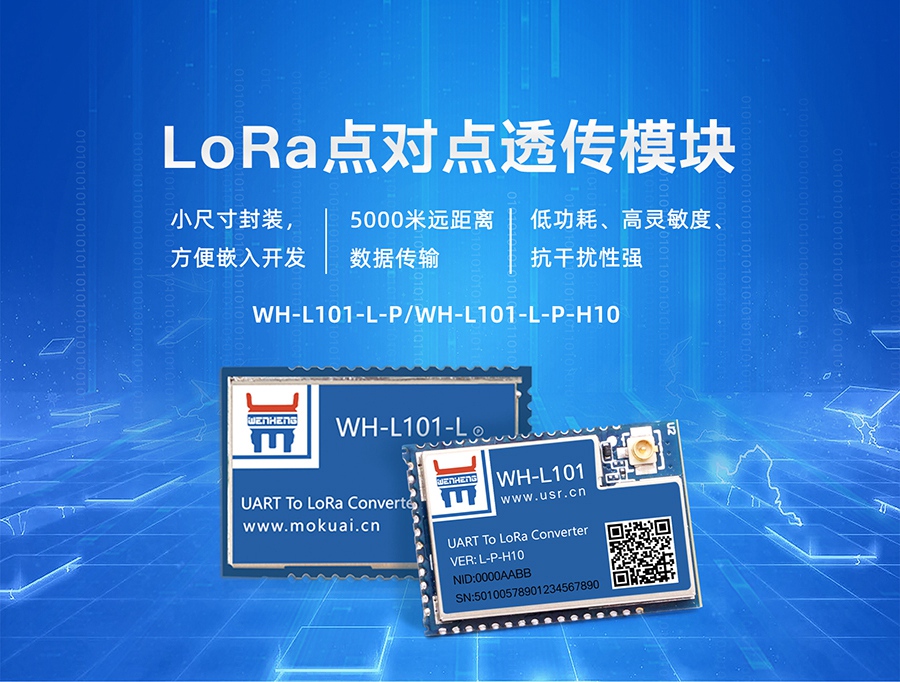 LoRa無線傳輸模塊_點(diǎn)對(duì)點(diǎn)/LoRaWAN_LoRa無線傳輸技術(shù)