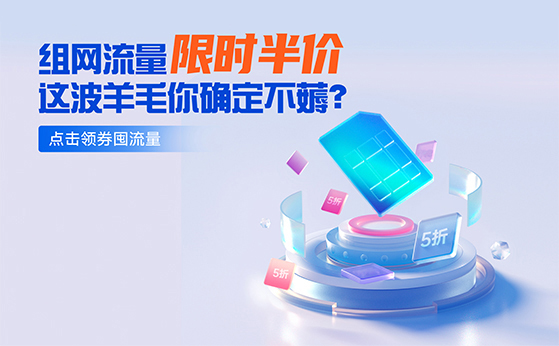 組網(wǎng)流量限時半價！你還在等什么？